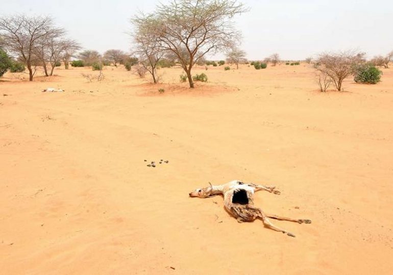 D’ici à 2070, un tiers de l’humanité pourrait vivre dans des endroits aussi chauds que le Sahara