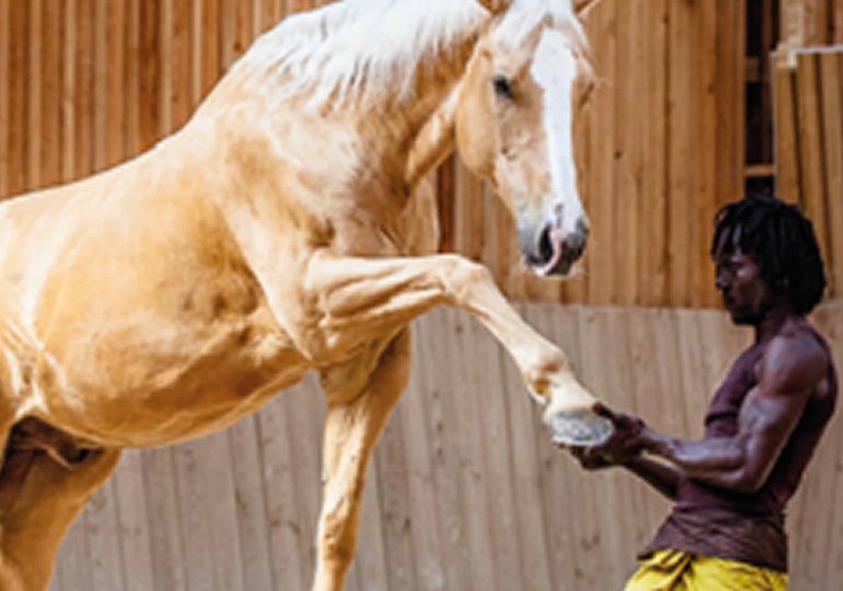 Festival: 2ème édition des arts équestres