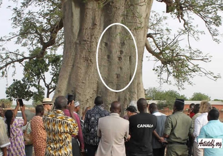 Tourisme : Le Baobab Mytique de Fada n'Gourma