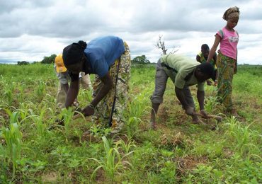 Burkina : Impacte du changement climatique sur les productions agricoles