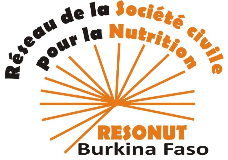 Burkina : A la découverte de l'ONG RESONUT