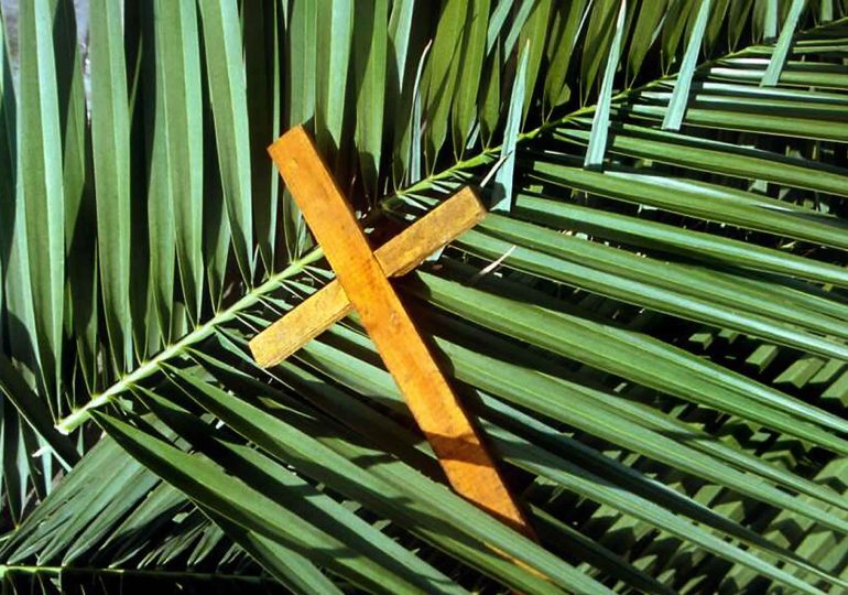 Société : Le dimanche des Rameaux dans l’église catholique