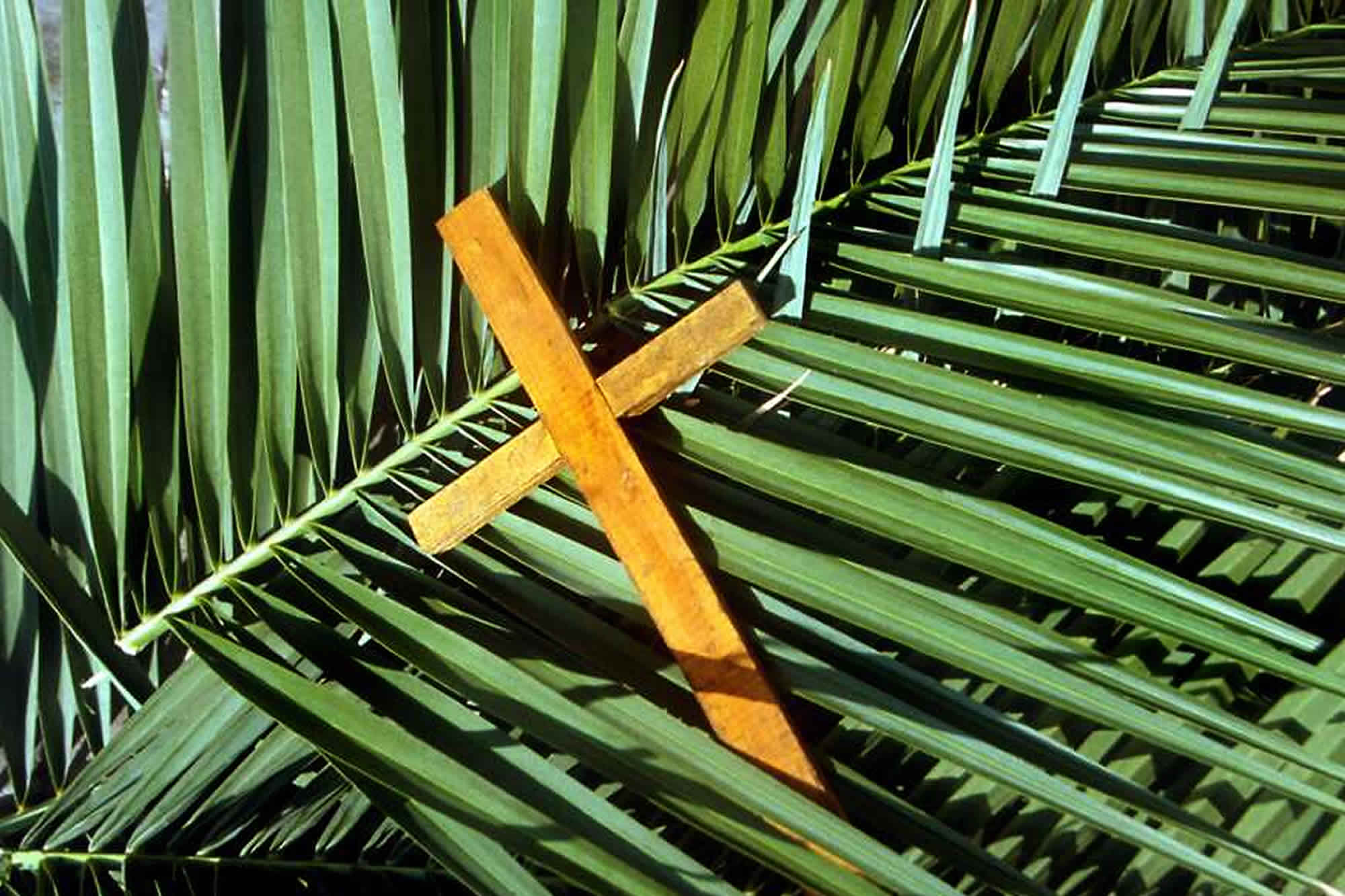 Société : Le dimanche des Rameaux dans l’église catholique - Artistes.Bf