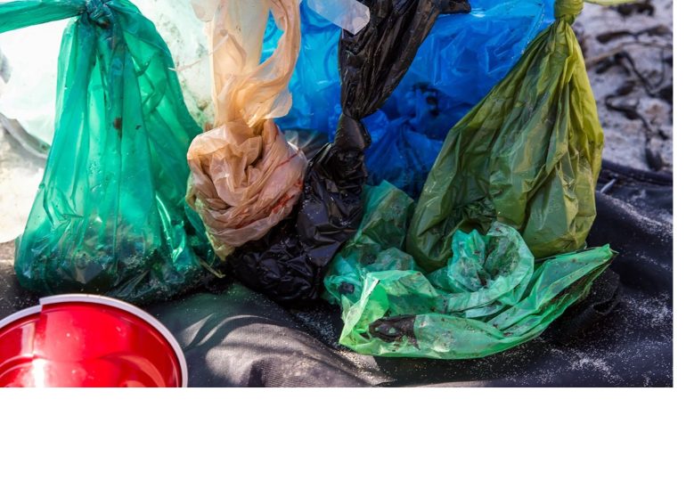 Environnement : La lutte contre les sachets plastiques, une victoire toujours incertaine.